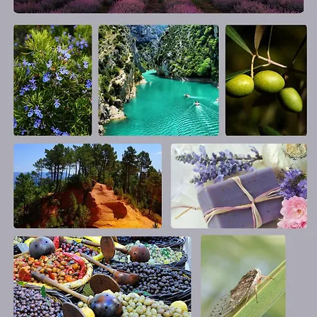 Apartment Lumineux « judee »