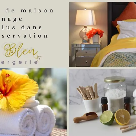 Apartment Lumineux « judee »